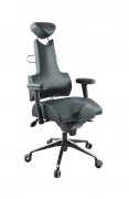 PROWORK kancelářská židle Therapia iSuperBody XL