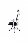 ERGO kancelářská židle a elektrický stůl Canto SP + Asier White