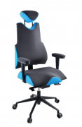 PROWORK kancelářská židle Therapia BODY XL PRO